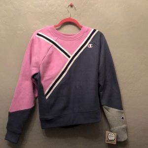 Champion Sweater